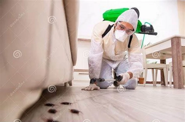 Image of a Pest Contractor spraying for bugs under funiture